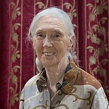 Jane Goodall Thumbnail